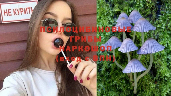 Альфа ПВП Бородино